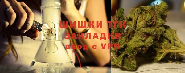 твердый Аркадак