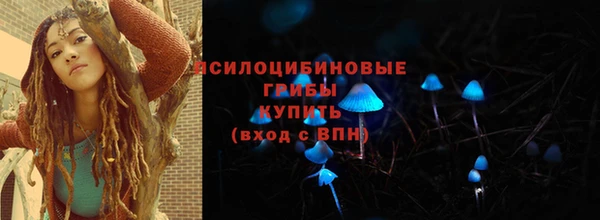 гидра Армянск