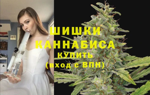 гидра Армянск