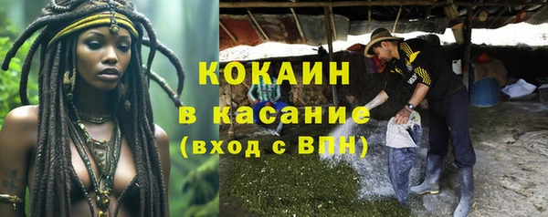 твердый Аркадак