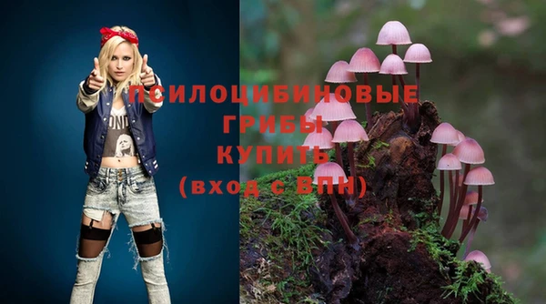 гидра Армянск