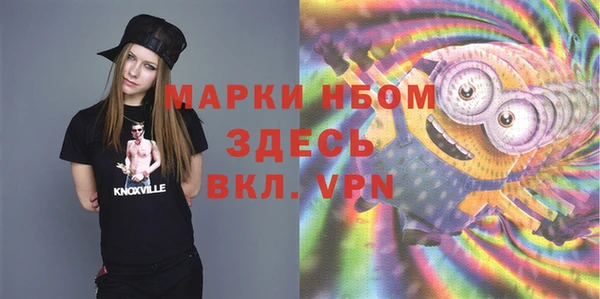 твердый Аркадак