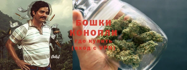 твердый Аркадак