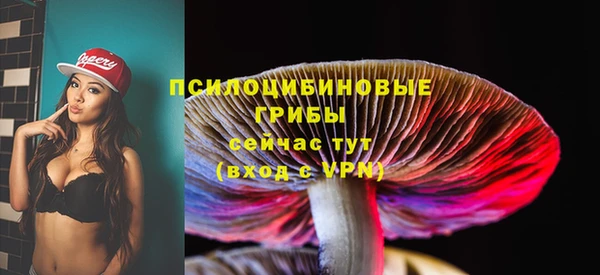 герыч Арсеньев