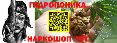 прущие крисы Балаково