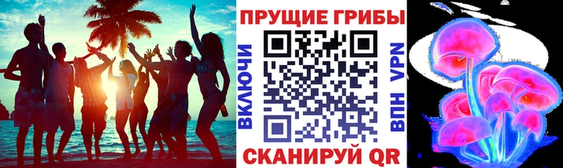 blacksprut как зайти  Долгопрудный  Псилоцибиновые грибы MAGIC MUSHROOMS  продажа наркотиков 